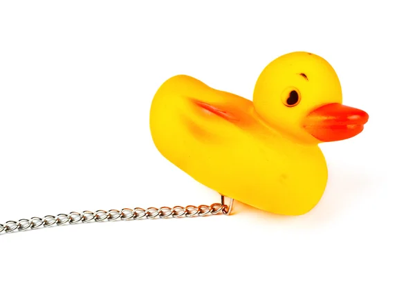 Toy Duck Bath Chain Isolated White — Stock Photo, Image
