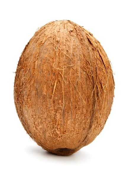 Orzech Kokosowy Izolowany Białym Tle — Zdjęcie stockowe