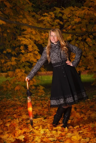 秋の森の傘で美しい少女 — ストック写真