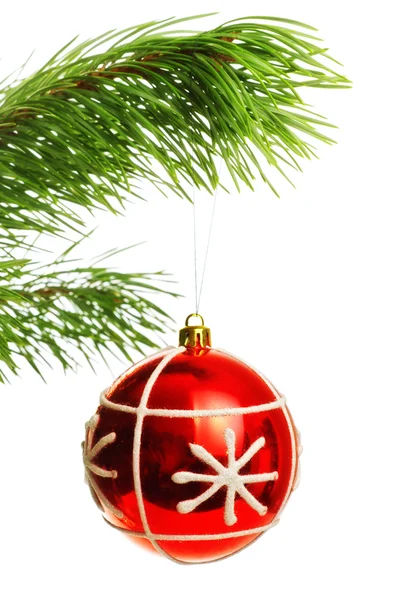 Decoration ball on pine branch — Stock Photo, Image