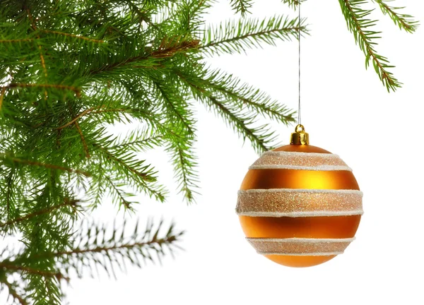 Decoration Ball Fir Branch White Background — Stock Photo, Image