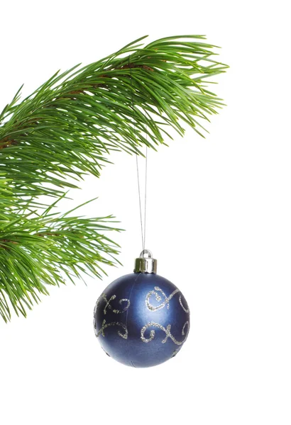 Blue Decoration Ball Fir Branch — Stock Photo, Image