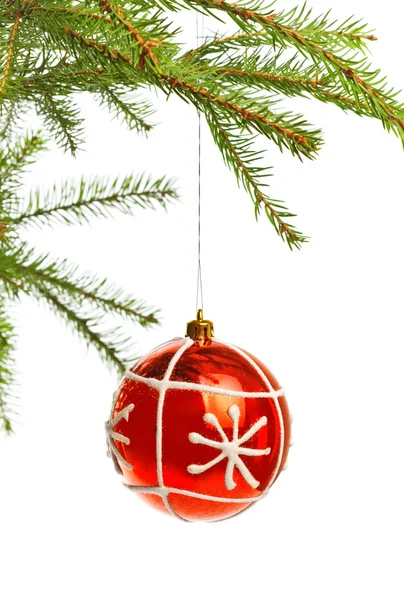 Red decoration ball on spruce branch — Stock Photo, Image
