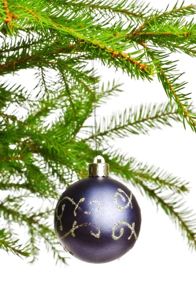Decoration Ball Fir Branch White Background Royalty Free Stock Images