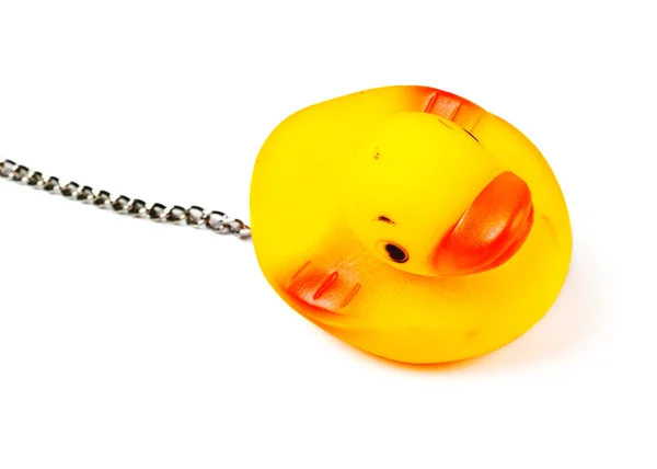 Toy duck for bath — Stock Photo, Image