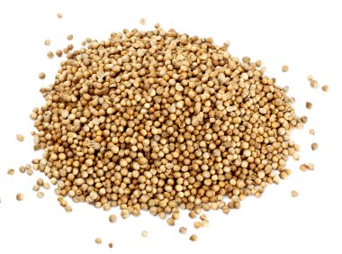 Many coriander seeds isolated on white background clipart