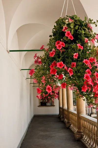 stock image Hanging pot with flowers in vintage gallery