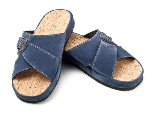 Due Pantofole Blu Isolate Sfondo Bianco — Foto Stock