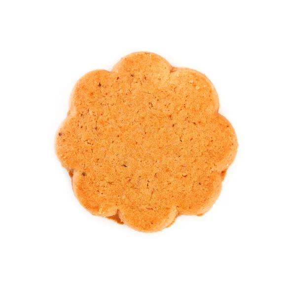 Fresh Cinnamon Cookie Isolated White Background — Stock Photo, Image