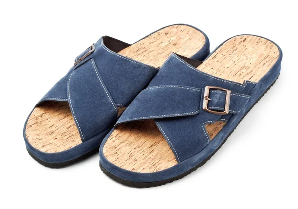 Dos zapatillas azules —  Fotos de Stock
