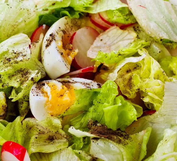 Свіжий Зелений Салат Редькою Яйцями — стокове фото