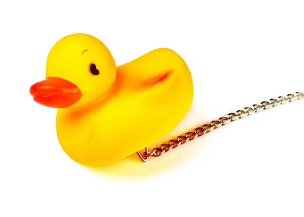 Toy Duck Bath Chain Isolated White — Stock Photo, Image