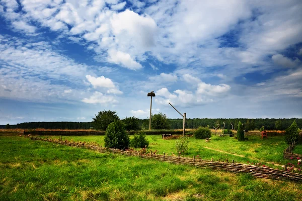 夏の日ネスティング コウノトリと農村風景 — ストック写真