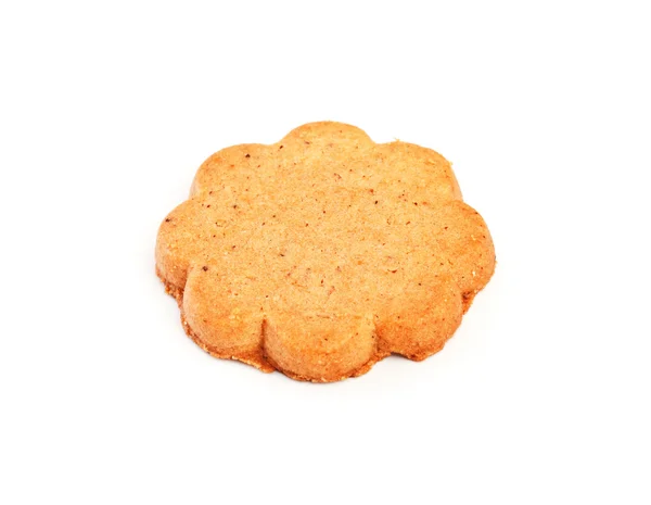 Fresh Cinnamon Cookie Isolated White Background — Stock Photo, Image