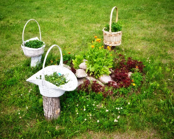 Tiga Keranjang Wicker Dengan Bunga Padang Rumput — Stok Foto