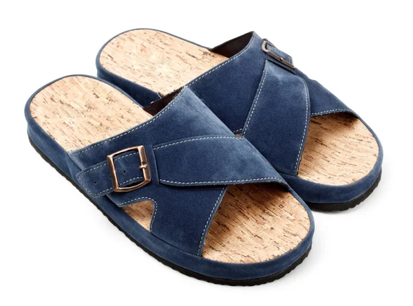Due pantofole blu — Foto Stock