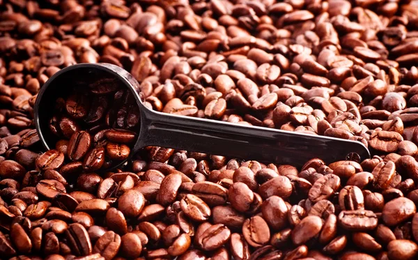 Granos de café y cuchara de medir — Foto de Stock