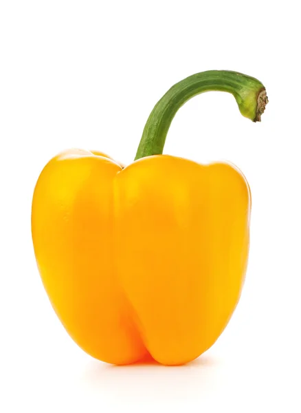 Paprika jaune — Photo