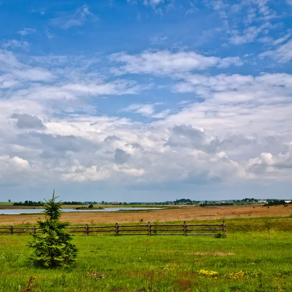 Сельский пейзаж — стоковое фото