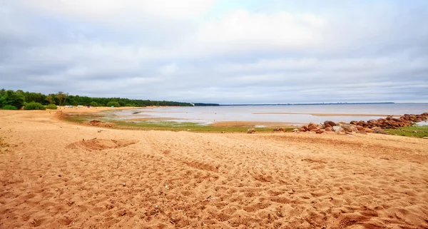 Spiaggia in estate — Foto Stock