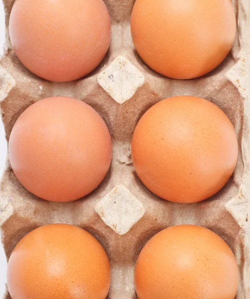 Jaja w zasobniku — Zdjęcie stockowe