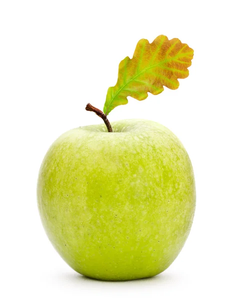 GDO elma — Stok fotoğraf
