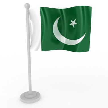 pakistan bayrağı