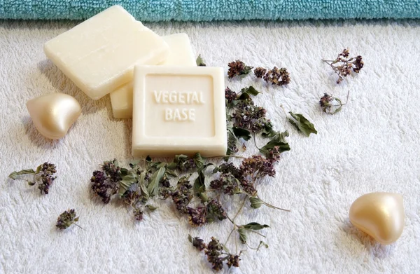 植物性基本石鹸 ハーブと風呂風呂のクローズ アップ — ストック写真