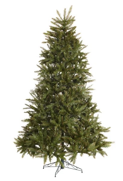緑のクリスマス モミの木の装飾のないです。. — ストック写真