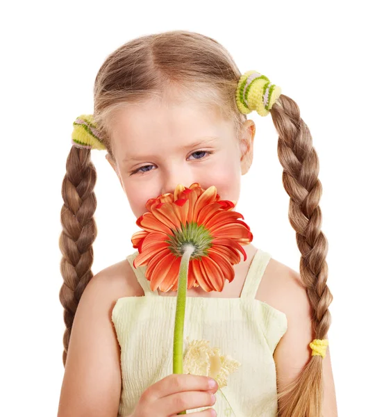 Niño dando flor . —  Fotos de Stock