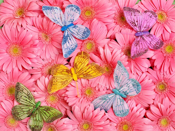 Hintergrund der Blume. — Stockfoto