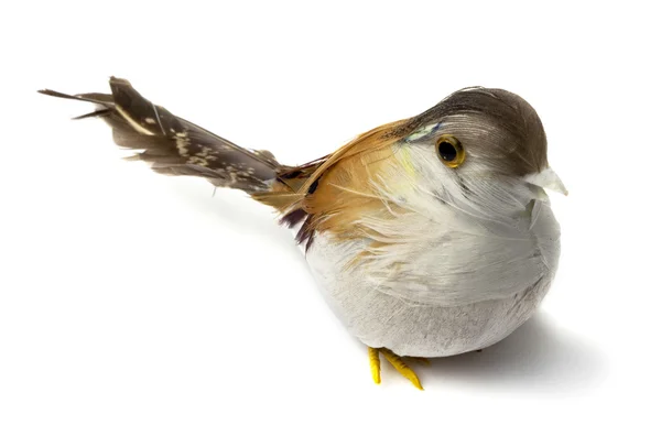 Oiseaux à plumes artificielles — Photo