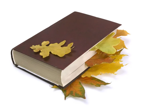 Осенние листья в книге — стоковое фото