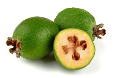 Feijoa clipart