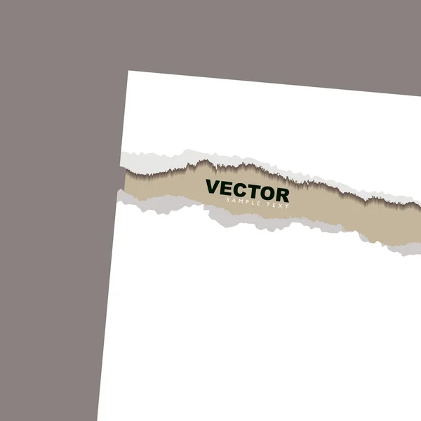 Torn paper reveal rustic — Stock Vector