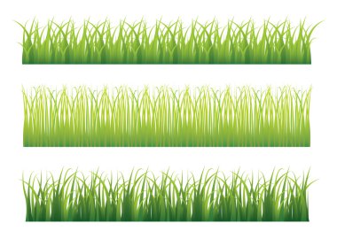 yeşil çim varyasyon