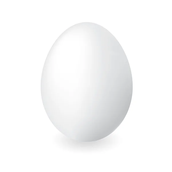 Huevo de pato — Vector de stock