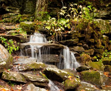 berkshires waconah düşer