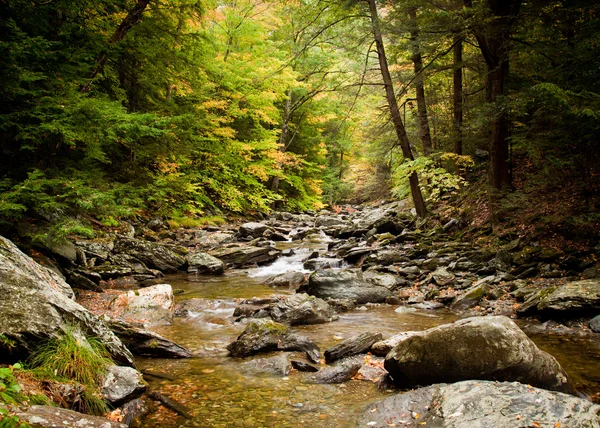 Water rushing down river — Stock Photo, Image