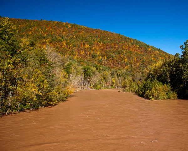 Zuřící zaplavila řeka — Stock fotografie