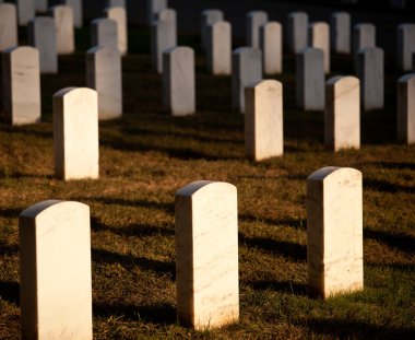 Arlington'daki mezar taşlarının satır