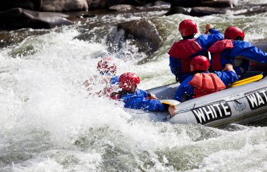 Group in out of control white water raft clipart