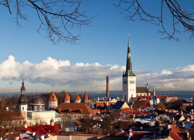 Old town of Tallinn clipart