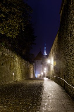 Walk to Toompea clipart