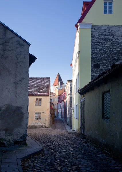 Calle antigua de tallinn — Stok fotoğraf