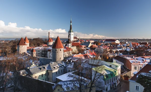 Ciudad Vieja de Tallin — Foto de Stock