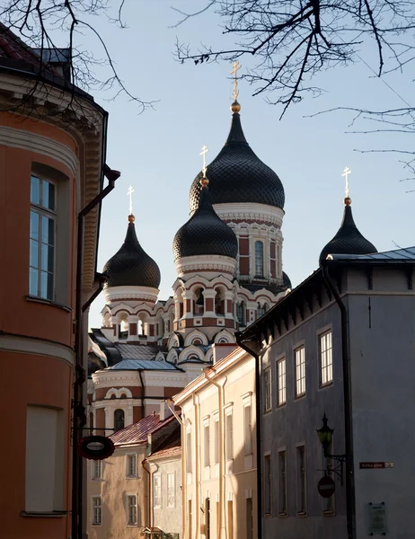 Alexander Nevsky Cathedral — Stock Photo, Image