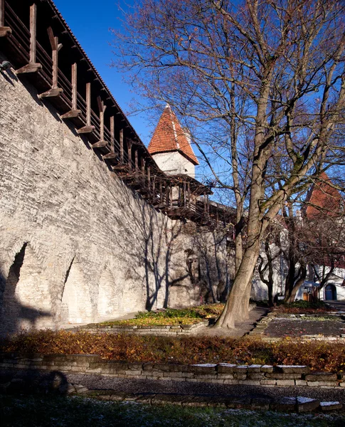 Staré městské hradby v Tallinnu — Stock fotografie