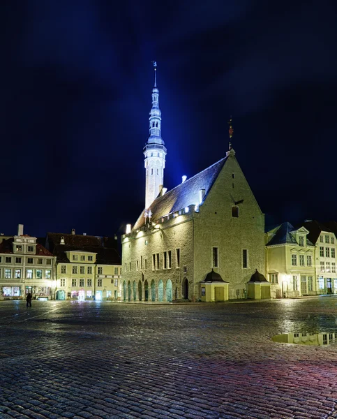 Vista insolita del municipio di Tallinn — Foto Stock