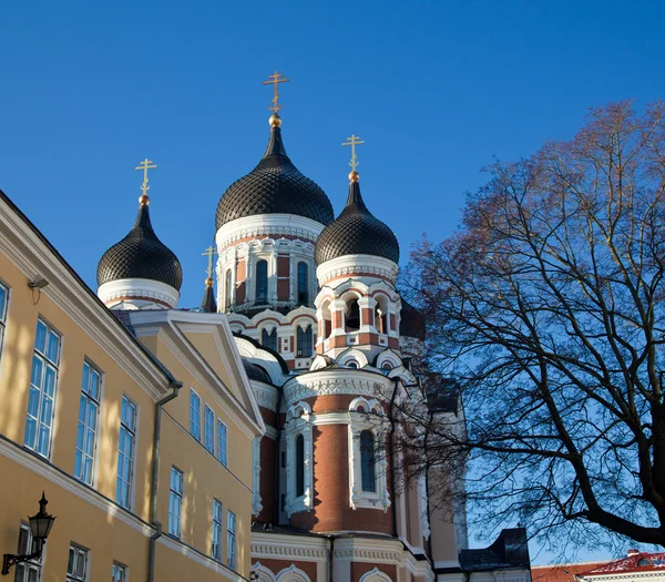 Alexander Nevskijs katedral — Stockfoto